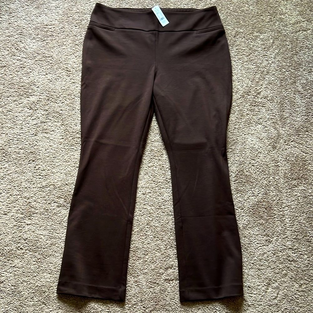 New York and Company pull up pants